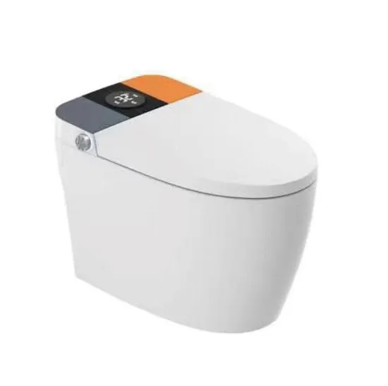Smart Toilet Sanitary Ware One-Piece Closet Toilet