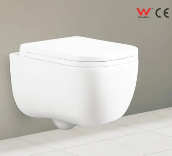 White Wall Hung Toilet with UF Soft Close Seat Cover