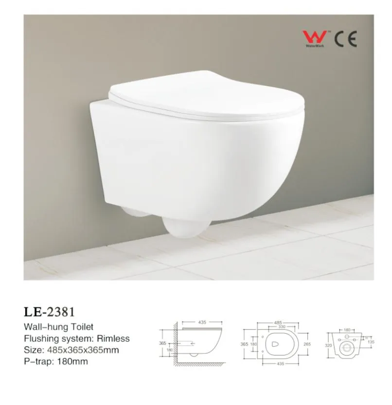 Custom Marble Wall Hung Toilet Bowl Ceramic Wc Toilet with Concealed Cistern