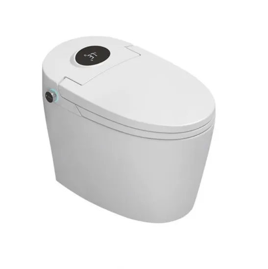 Luxury Cheap Ceramic Bathroom Wc 1 Piece Intelligent Toilet Bowl
