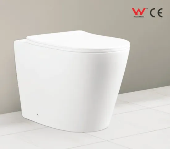 Hot Selling Wall Hung Toilet with Standard Package