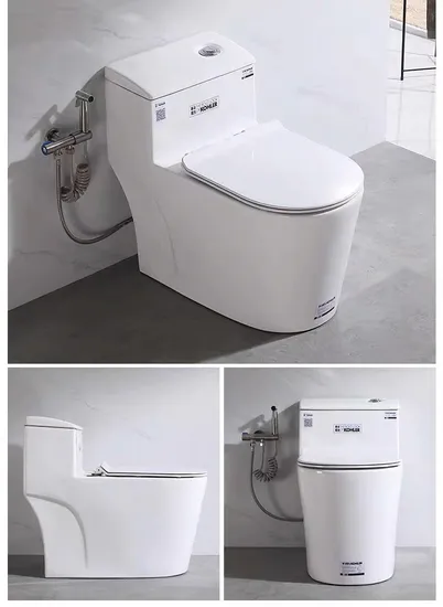 Sanitary Ware Toilet Ceramic Toilet Bowl Siphonic One Piece