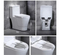 Siphonic Flush S Trap Toilet Sanitary Ware One Piece Toilet
