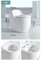 Sanitary Ware Mounted Bowl Rimless Matt White Ceramic Toilet Water Closet