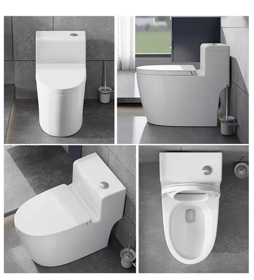 Water Closet Dual Flush 1 Piece Toilet Sanitary Ware Bathroom Toilet