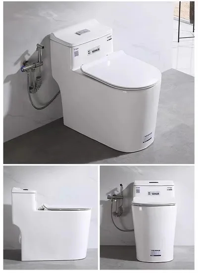 Sanitary Ware Bathroom Ceramic Wc One Piece Toilet Bowl