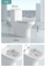 Modern Design One Piece Water Closets with Soft Closing Toilet Seat