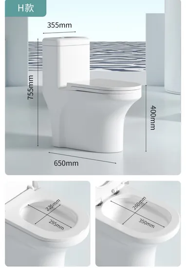 Modern Design One Piece Water Closets with Soft Closing Toilet Seat