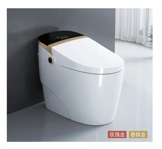Modern Intelligent One Piece Ceramic Sanitary Ware Bathroom Automatic ...