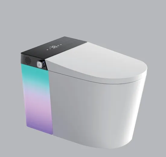 Smart Floor Mounted Ceramic Siphonic One Piece Electronic with Remote Control