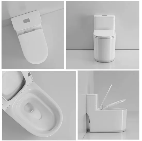 One Piece Siphonic Washdown Wc Bathroom Commode Toilet Bowl