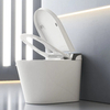 Sanitary Ware Automatic Smart Water Closet Toilet