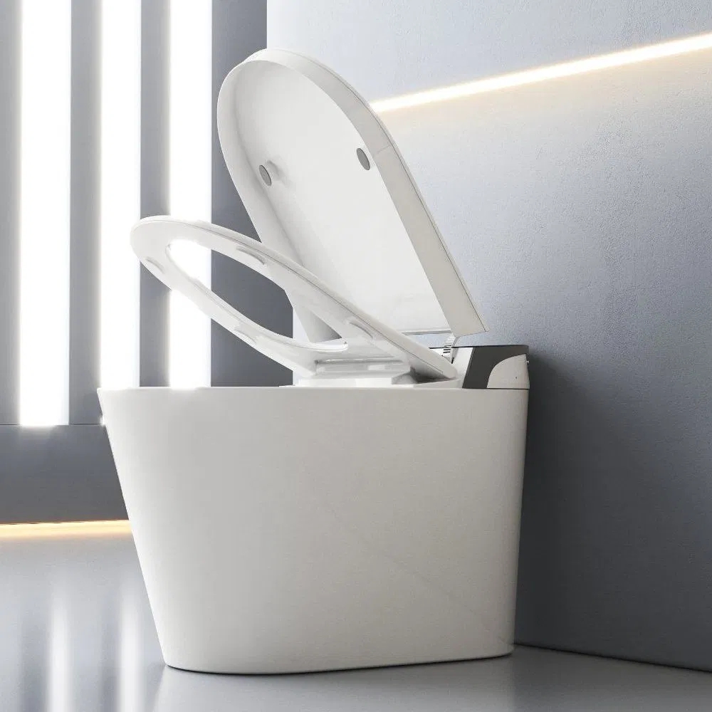Sanitary Ware Automatic Smart Water Closet Toilet