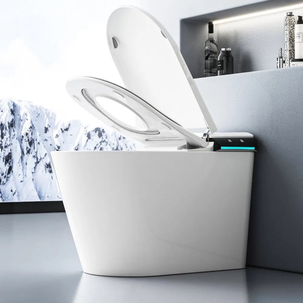 Sanitary Ware One Piece Ceramic Smart Toilet