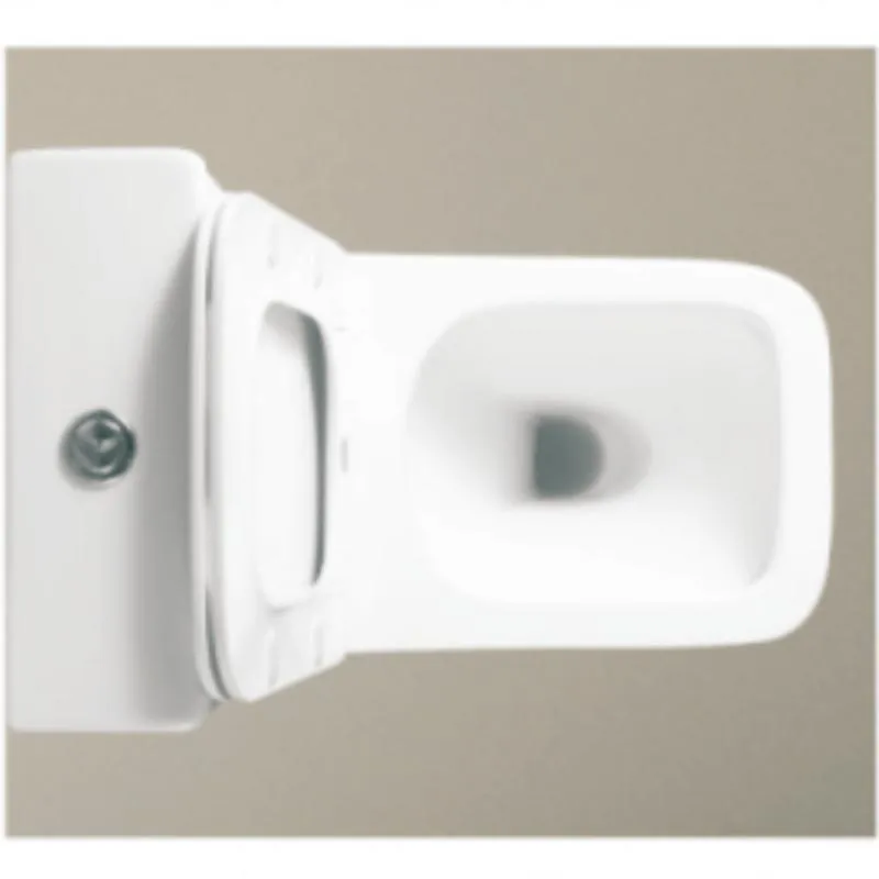 Bathroom Sanitary Ware Watermark Ceramic Toilet