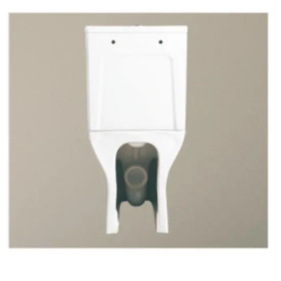 Bathroom Sanitary Ware Watermark Ceramic Toilet