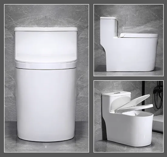 One Piece Toilet with Comfort Chair Seat Power Dual Flush