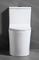 Bathroom Sanitary Ceramica One Piece Toilets