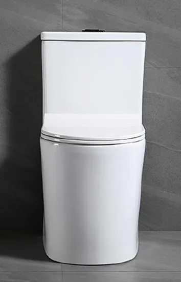 Bathroom Sanitary Ceramica One Piece Toilets