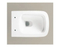 Chinese Wholesale Watermark Latest Design Wc Wall Hung Toilet with Bidet