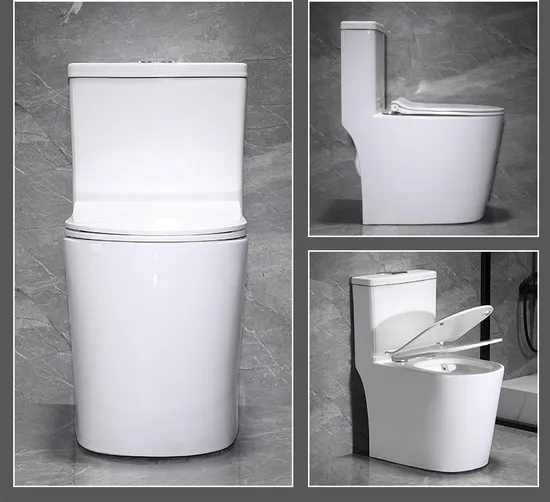 China Manufacturer Sanitary Ware One Piece Toilet Ceramic Water Closet