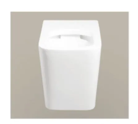 Bathroom Toilet Wall Hung Ceramic One Piece Dual Flush Sanitary Ware