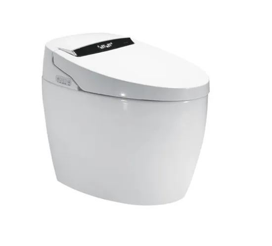 Luxury Cheap Ceramic Bathroom Wc 1 Piece Intelligent Toilet Bowl