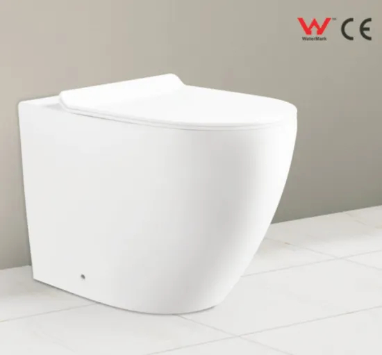 Wall Hung Toilet Wall Mount Hotel Toilet for Bathroom