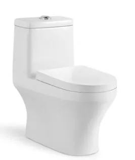 Big Size Water Saving One Piece Toilet with Slow Down Seat Cover