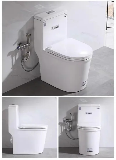 One Piece Ceramic Wc Sanitarios Toilet Bathroom Commode White Toilet Bowl