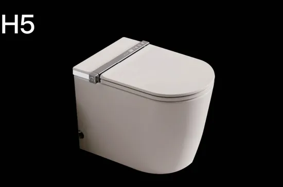 Flushing Oval Shape Porcelain Ceramic Bathroom One Piece Wc Toilet