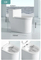 Classic Sanitary Ware Floor Mounted Bathroom One Piece Wc Toilet