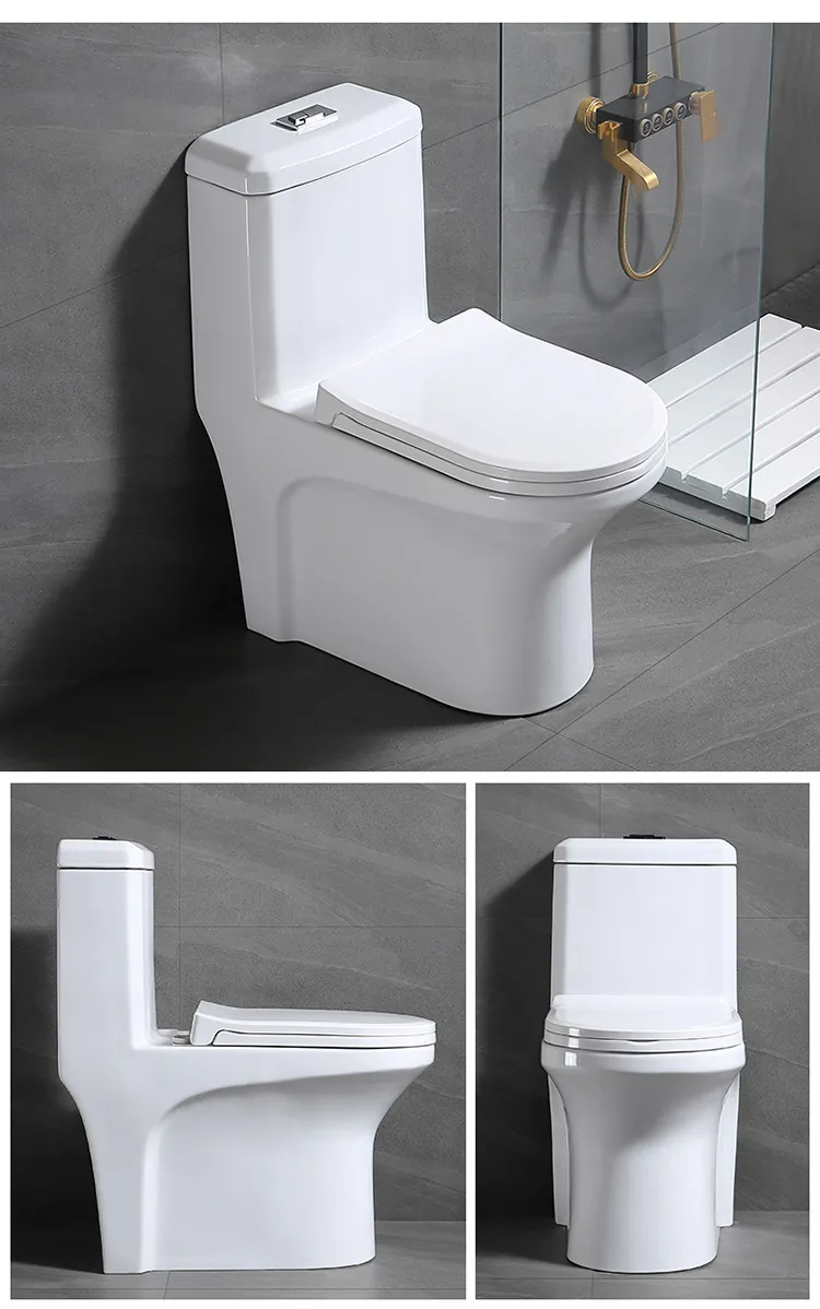 Water Closet Dual Flush 1 Piece Toilet Sanitary Ware Bathroom Toilet