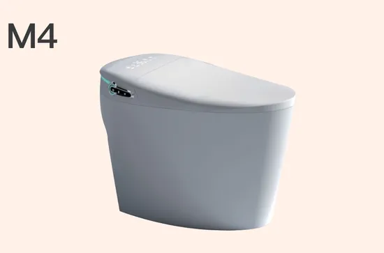 Bejoan Floor Standing Ceramic Automatic Inductive Smart Toilet