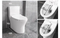 High Standards Toilet Cheap Siphonic S-Trap One Piece Toilet