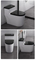 Ceramic Sanitaryware Bathroom Furniture Water Closet One Piece Toilet