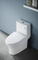 Hot Sale Washdown Sanitary Ware One Piece Toilet Bowl Colored