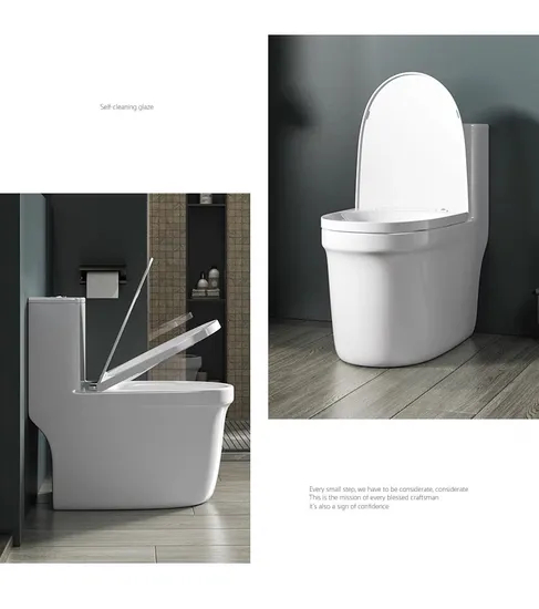 Sanitary Wares Porcelain Dual Flush Siphontoilet