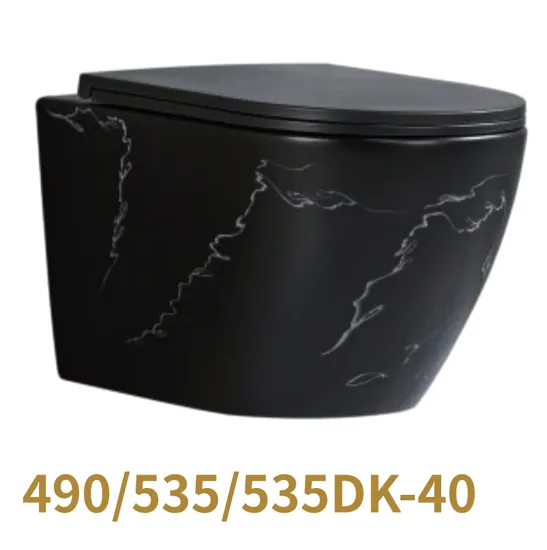 Custom Sanitary Ware Ceramic Toilet Wall Hung Toilet