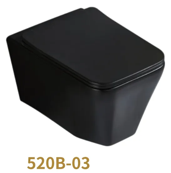 Middle-East Style Luxury Sanitary Ware Rimless Wall-Hung Toilet