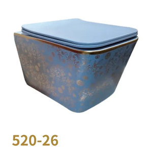Wall Hung Hanging Toilet Bowl with Concealed Cistern Bathroom Toilet