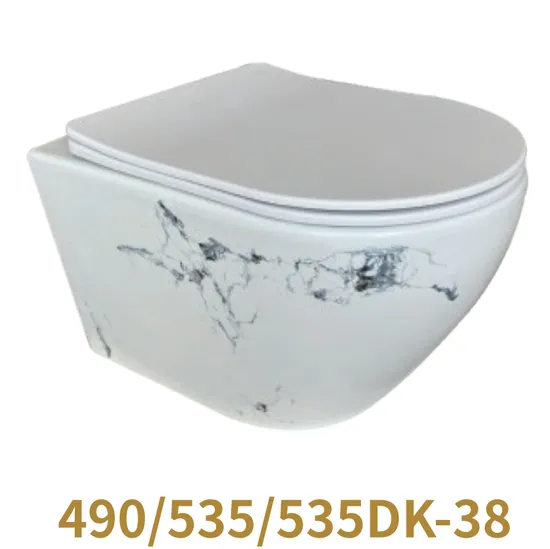 Custom Color Modern Bathroom Sanitary Ware P-Trap Wall Hung Toilet