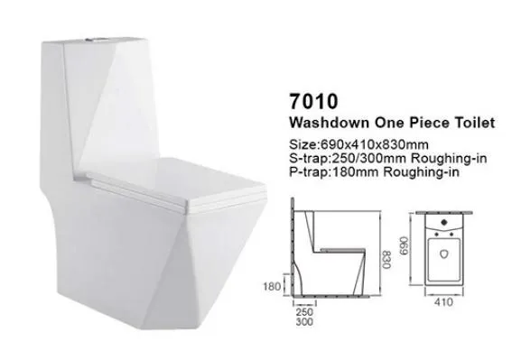 Round Shape S Trap 250mm Washdown One Piece Toilet Bowl Floor Mounted