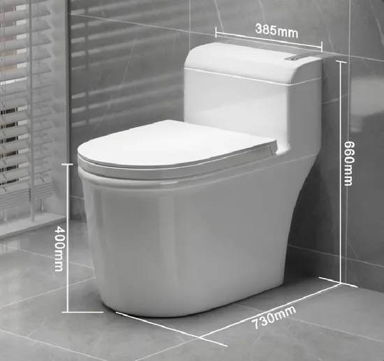 White Dual Flushone Piece Toilet Washdown P Trap Water Closet