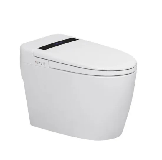 Modern Intelligent Ceramic Bathroom Smart Toilet with Waterproof Remote Control