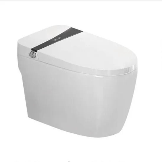Low Price Sanitary Ware Bidet Siphon Smart Toilet
