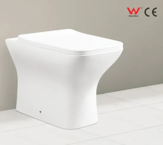 Chaozhou Sanitary Ware Ceramic Portable Toilet One Piece Wall Hung Toilet
