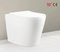 Hot Selling Wall Hung Toilet with Standard Package