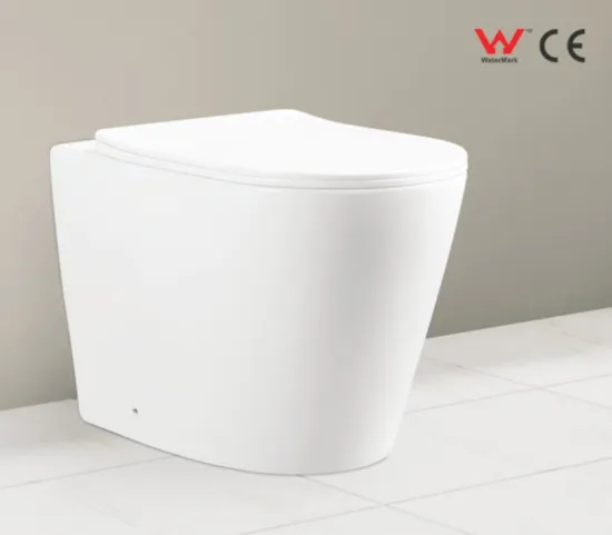 Hot Selling Wall Hung Toilet with Standard Package