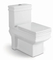 S-Trap Water Saving One Piece Toilet with Slow Down Seat Cover